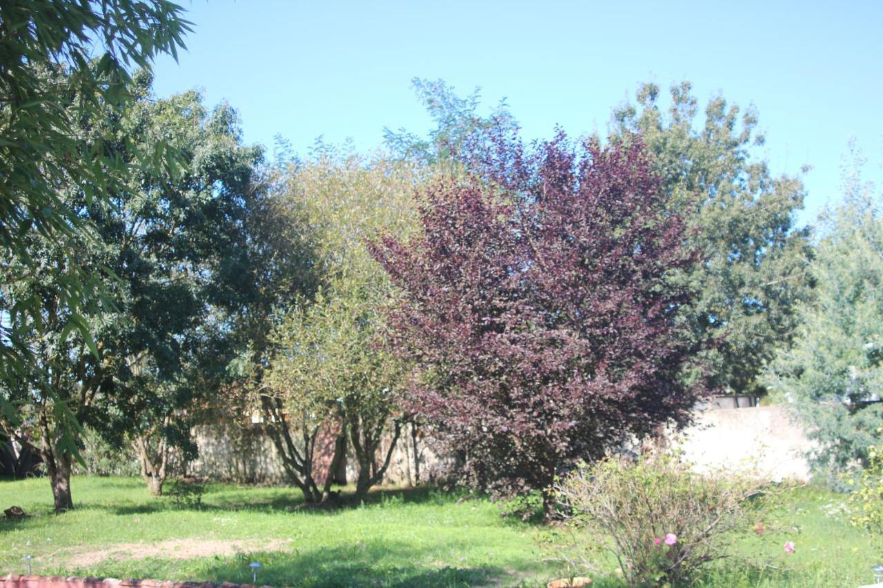 Apartament L Entredeux Saint-Viaud Zewnętrze zdjęcie